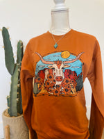 Under The Desert Sun Sweatshirt