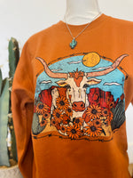 Under The Desert Sun Sweatshirt